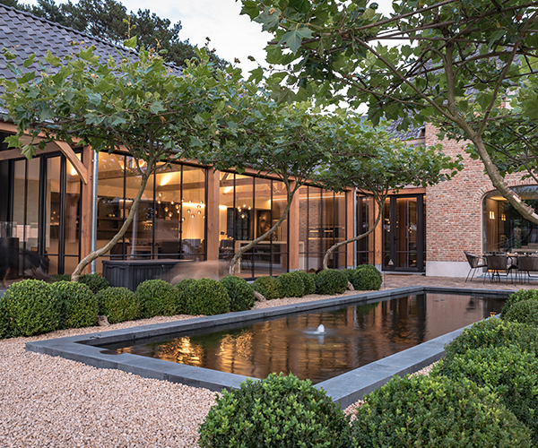 Treevolution the swing 