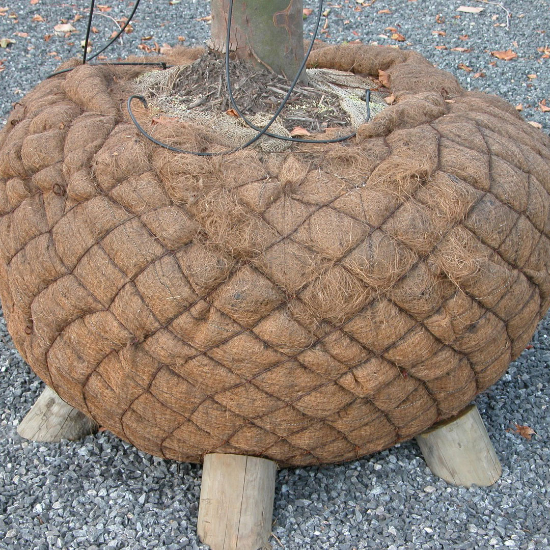 Voorbeeld cocoskluit