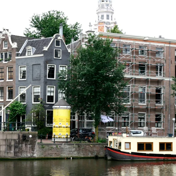 Ulmus 'Clusius' – Ulmus 'Clusius'