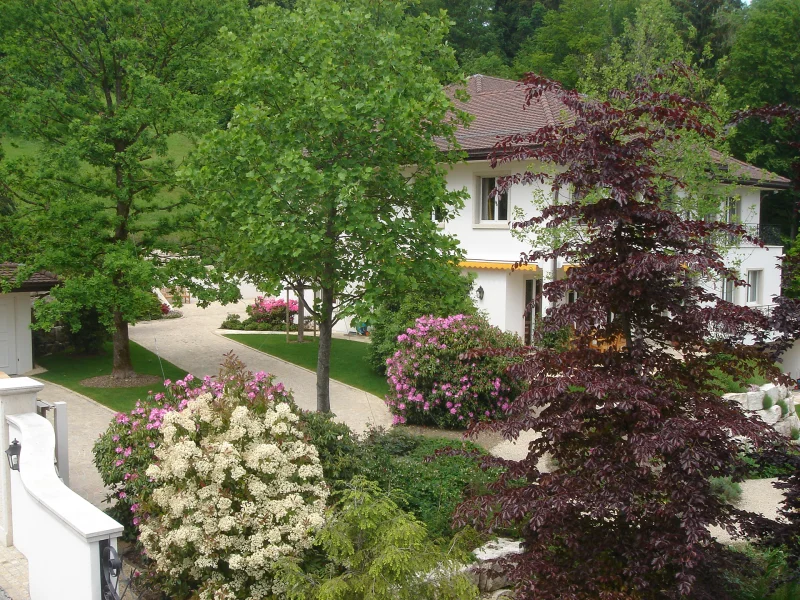 Privetuin-tegen-berghelling- 2