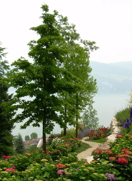 Privetuin-tegen-berghelling- 8